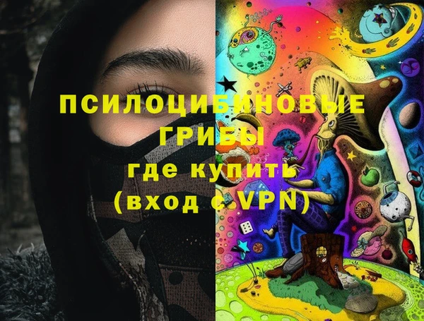 индика Алзамай