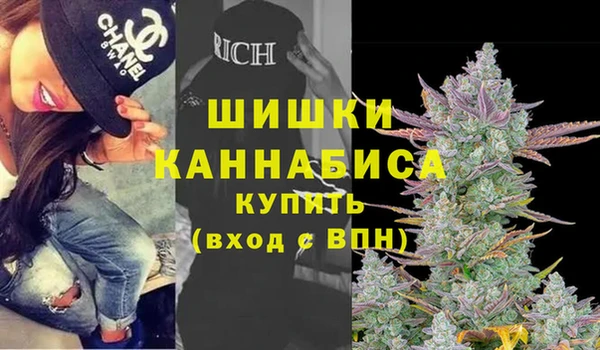 индика Алзамай