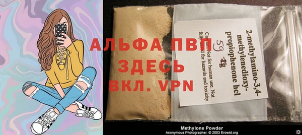 индика Алзамай